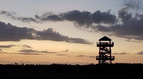 Bill Robinson honored at preserve