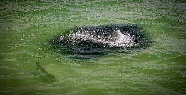 Reel Time: Get ready and get involved