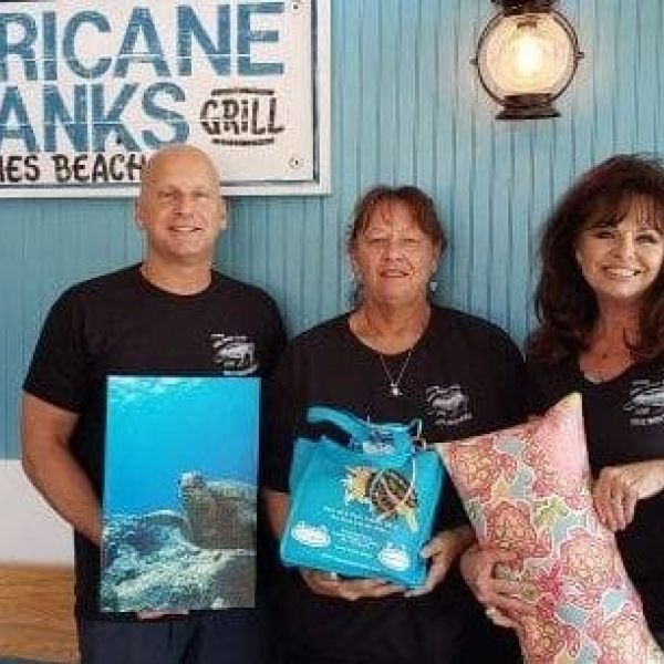 Auction to benefit Turtle Watch