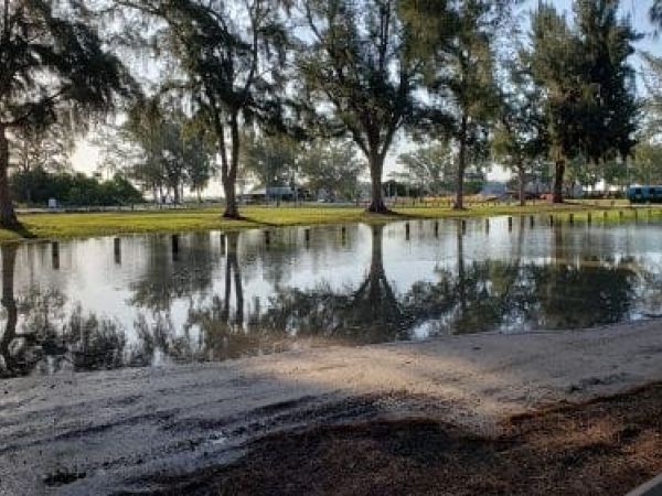 Pines plague parking project