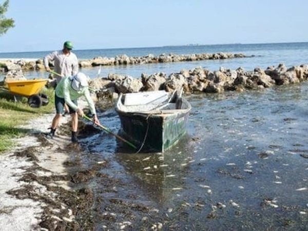 Red Tide Cortez Fishermen