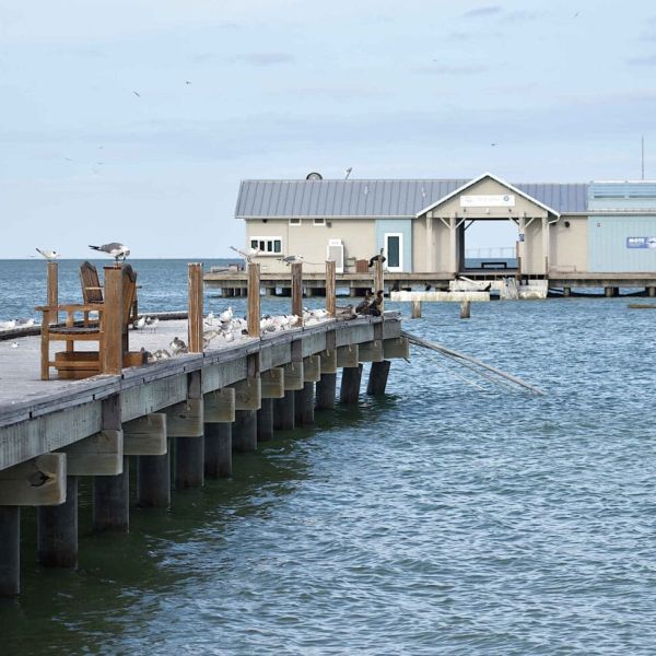 City Pier engineering services approved