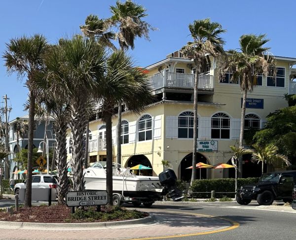 Dog attack injures woman, kills dog