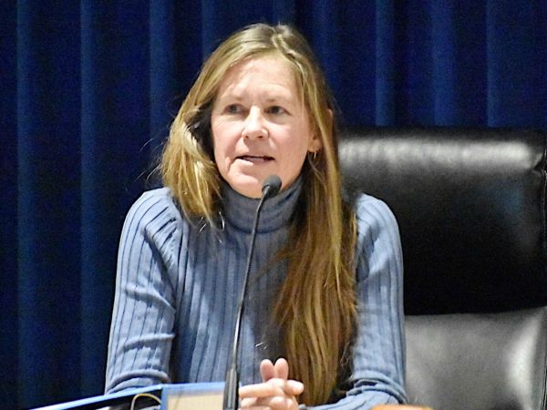 Holmes Beach officials critique consolidation study