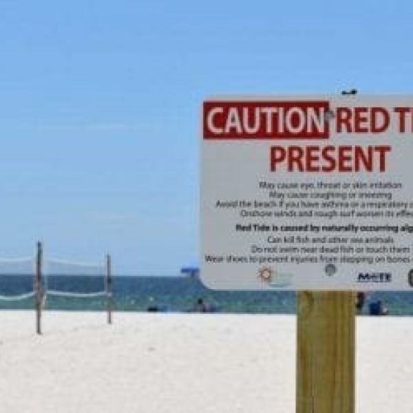 Red tide sign