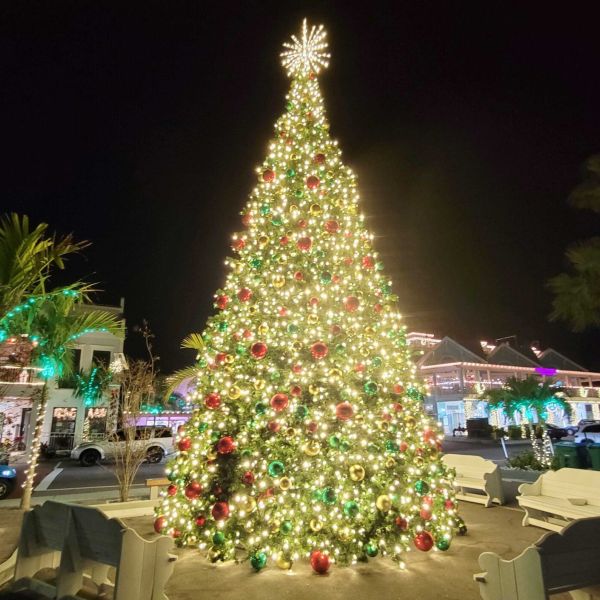 Christmas tree lighting to spark holiday season