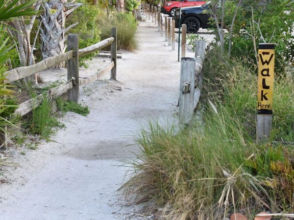 Reimagining Pine Avenue one step at a time