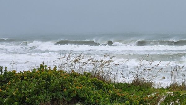 Hurricane Debby leaves AMI soaked