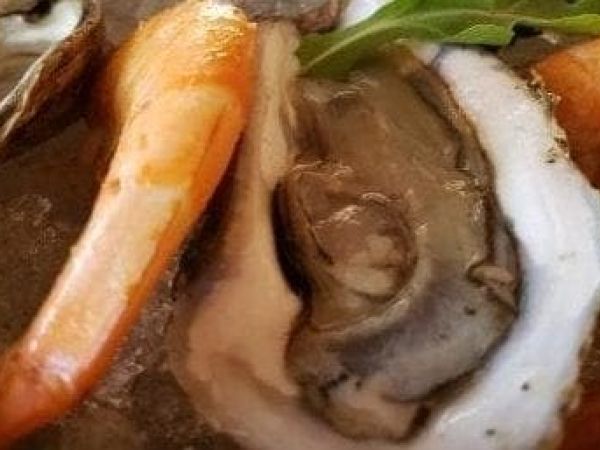 Film to feature local oyster recycling program