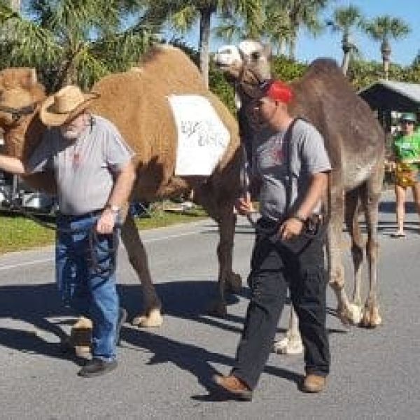 St. Patrick's Day parade Sunday