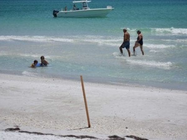 Anna Maria Beach Survey