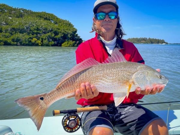 Reel Time: Seeing is believing