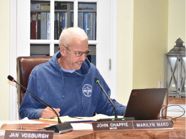 Mayor accepts responsibility for misplacement of palms