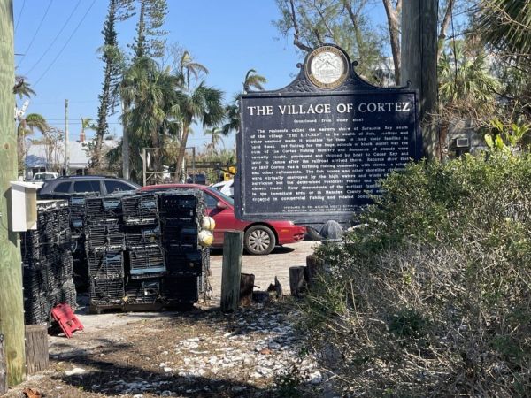 Cortez moves forward with stone crab harvest