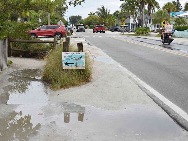 &lsquo;Reimagining Pine Avenue&rsquo; study approved