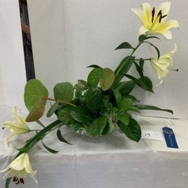 AMI Garden Club goes Hollywood