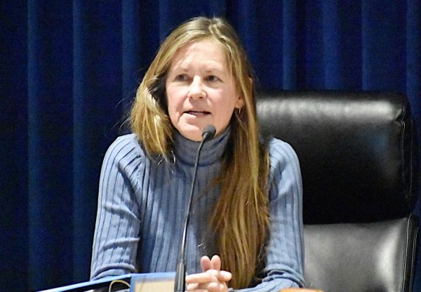 Holmes Beach officials critique consolidation study