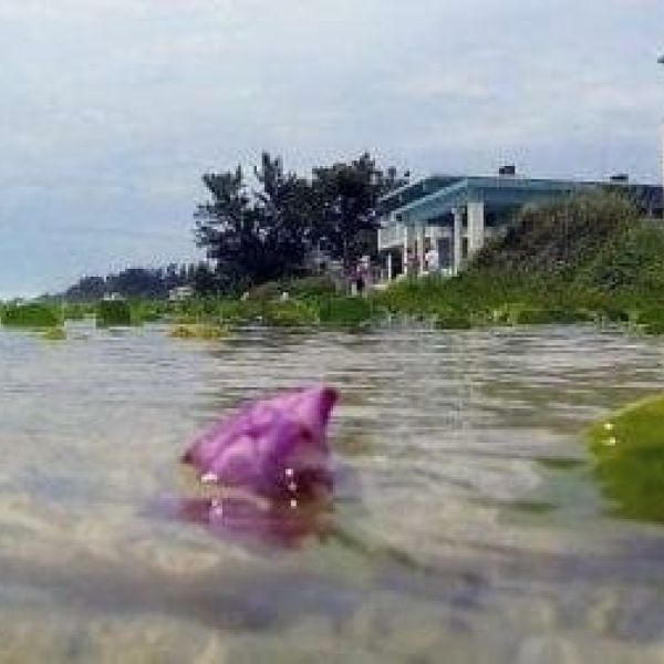 Flood insurance rates changing