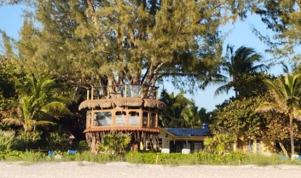 Treehouse owners prep for demolition