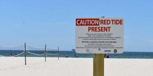 Red tide sign