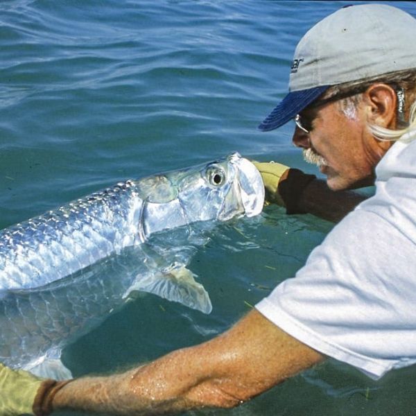 Reel Time: Catch and release