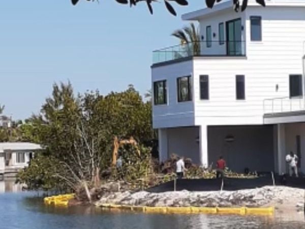 Feds issue approval for mangrove removal