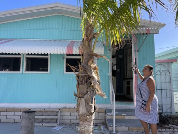 Pines residents are waiting for official correspondence from city