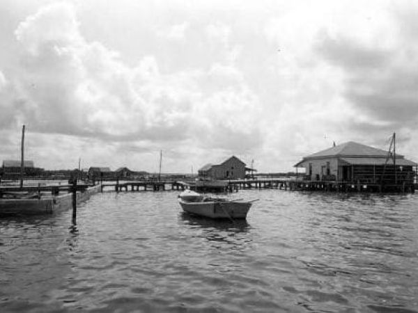 Cortez net camp tangled in lawsuits