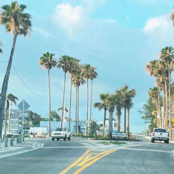 Commissioners pursue palm tree removal