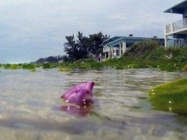 Flood insurance rates changing