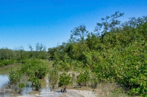 The solution to climate change