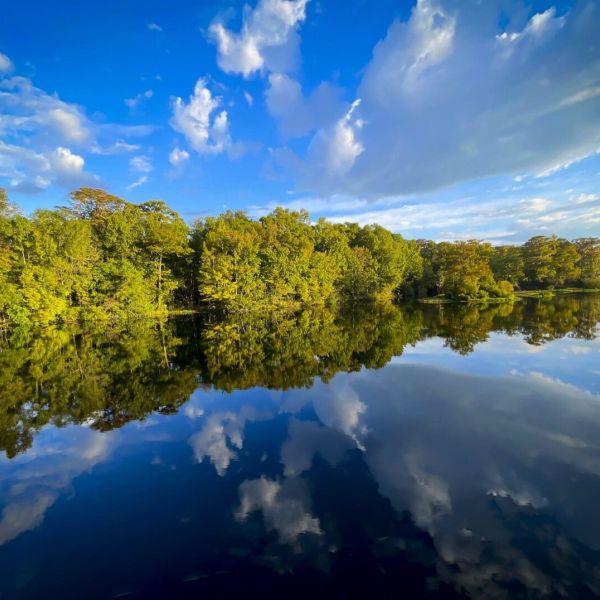 Reel Time on the Road: Wakulla Springs and Florida&rsquo;s Big Bend