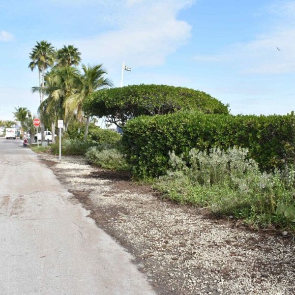 Engineering underway for potential shoreline resiliency project