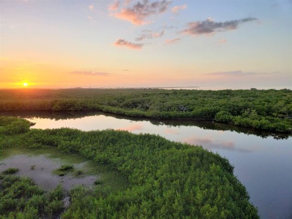Commissioners shrink wetland buffers