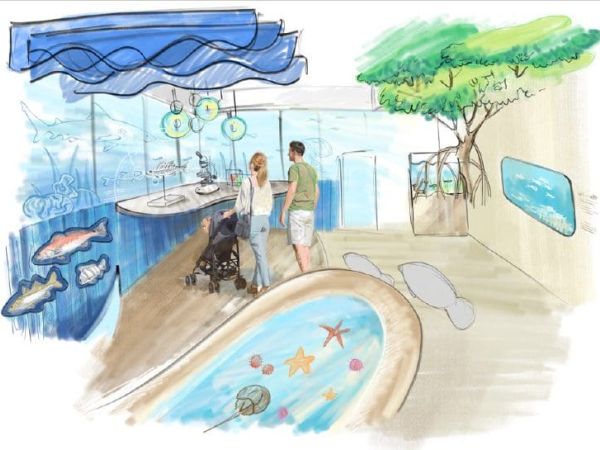 Mote Marine design process underway