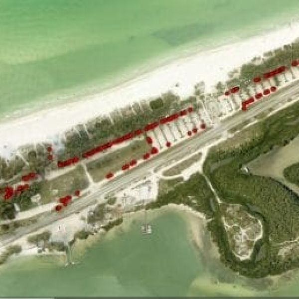 County submits Coquina Beach tree replacement plan