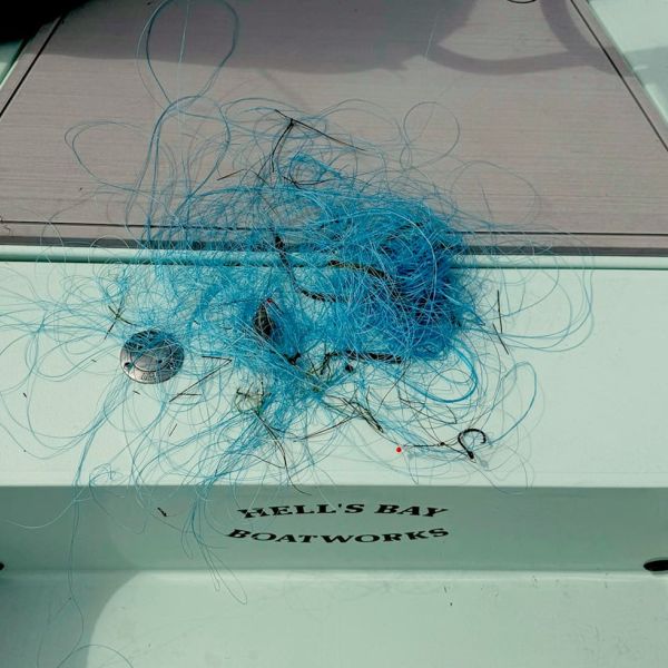 It&rsquo;s for the birds