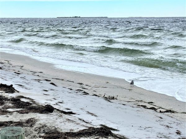 Erosion expected to resolve naturally