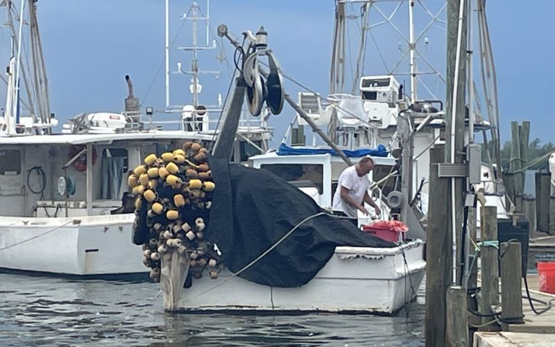 Cortez cleans up minor damage after Hurricane Idalia