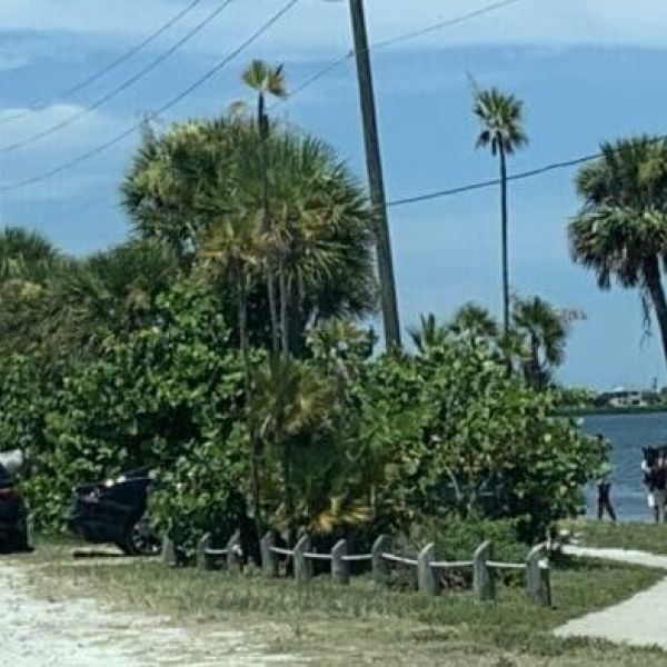 Scenic Highway CME talks horses on the causeway