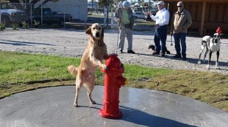 Pups and owners celebrate dog park opening