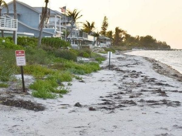 Anna Maria Beach Use Dispute