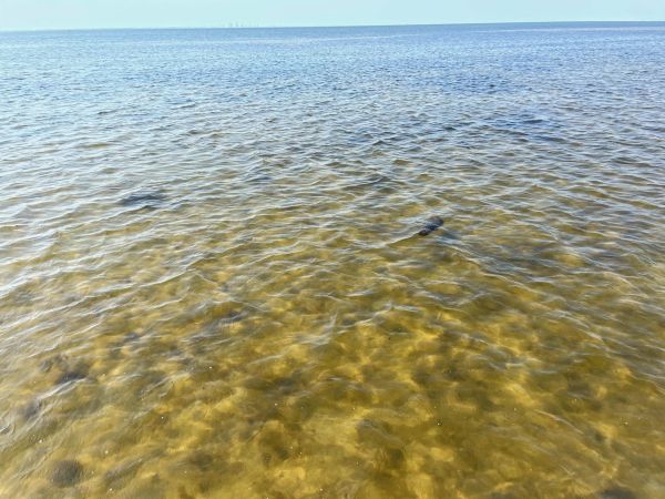 Reel Time: An unfolding tragedy