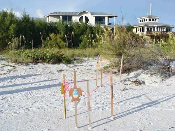 FDEP allows beachfront development