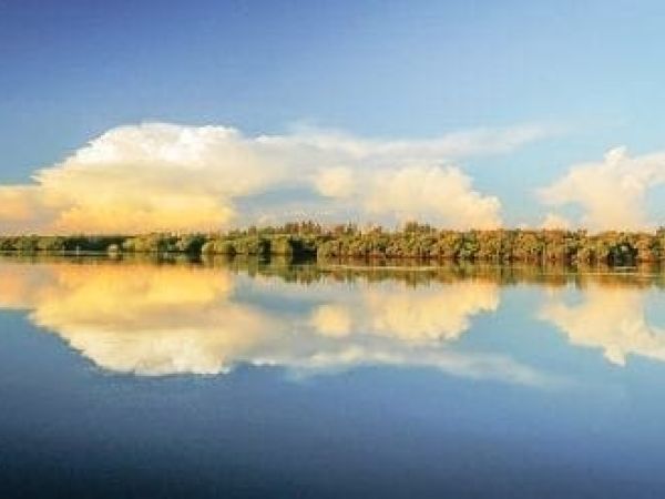 Perico Bayou