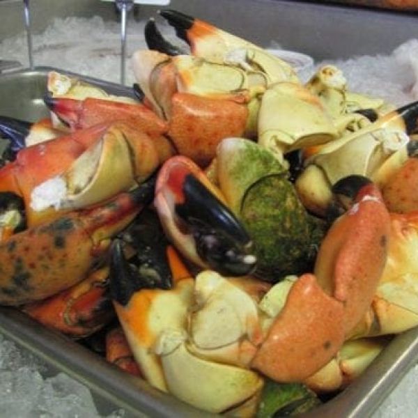 stone crab