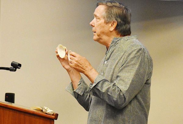 Proposed clam restoration project withdrawn