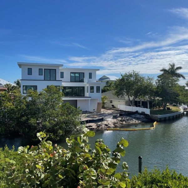 Mangrove removal investigated, paused