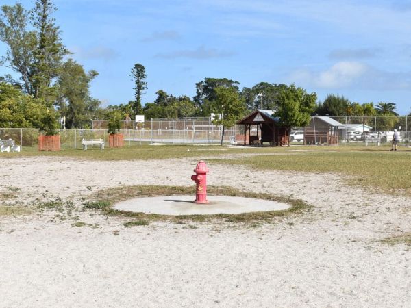 Dog park users seek improvements