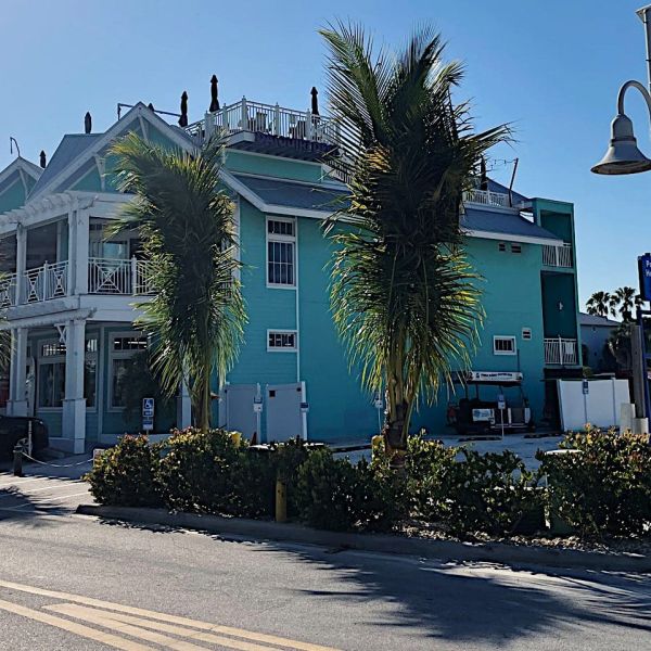 No signed agreement released on palm trees